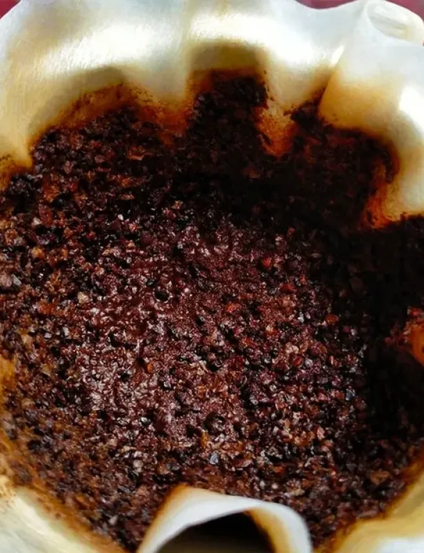 Ilustrasi Bubuk Kopi