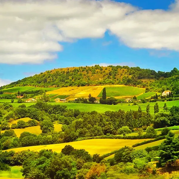 Ilustrasi Wisata Hijau. Credit: Laura Grier-Robert Harding/Getty Images