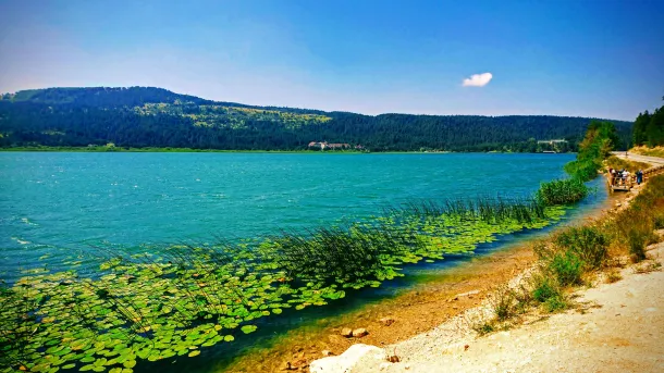 Ilustrasi Berjalan Di Sekitar Danau