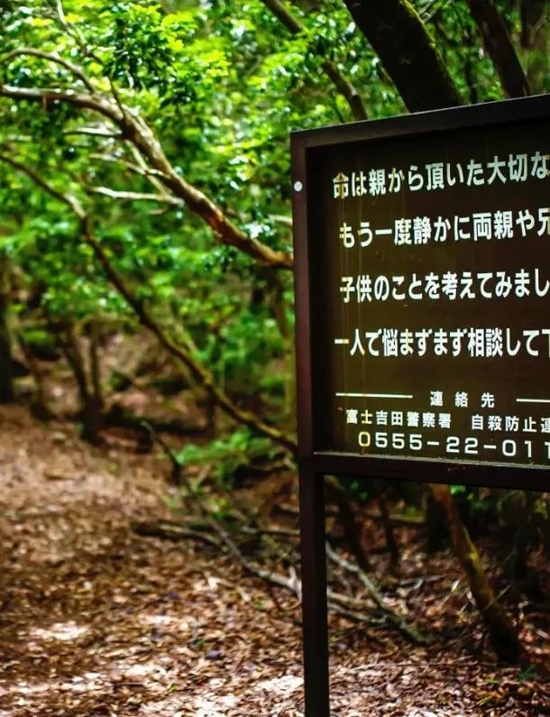 Ilustrasi Hutan Bunuh Diri Di Jepang