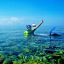 Ilustrasi Olahraga Snorkeling