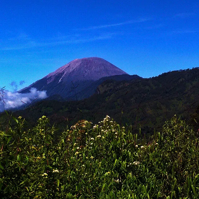 Puncak Gunung Semeru menjulang di Jawa Timur