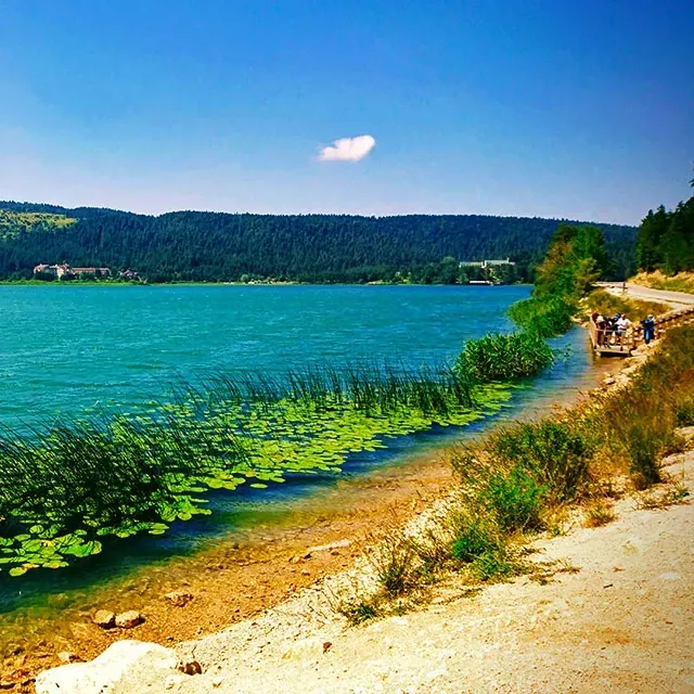 Ilustrasi Berjalan Di Sekitar Danau