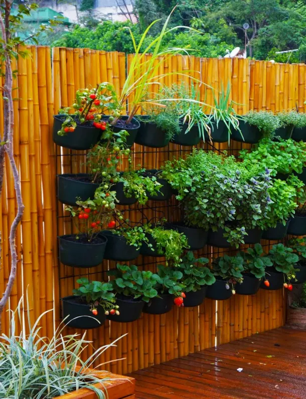 Ilustrasi Berkebun Di Rumah