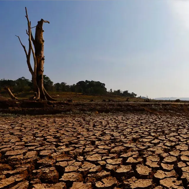 Ilustrasi Musim Kemarau