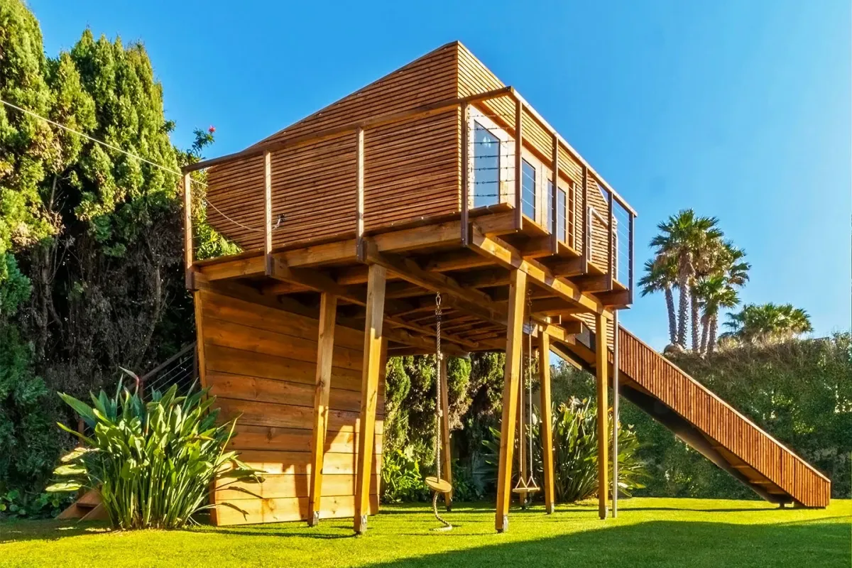 Ilustrasi Rumah Pohon Cassiopeia