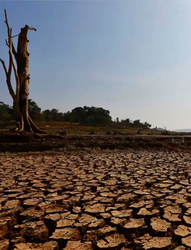 Ilustrasi Musim Kemarau