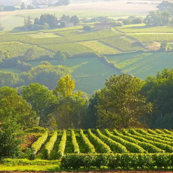 Ilustrasi Wisata Hijau. Credit: Laura Grier-Robert Harding/Getty Images