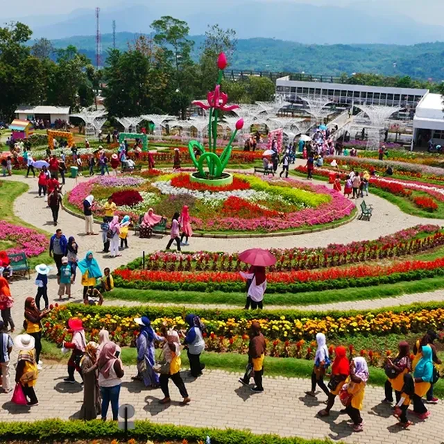 Taman Bunga Celosia, Semarang, Jawa Tengah