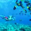 Ilustrasi Wisata Bahari Di Bunaken