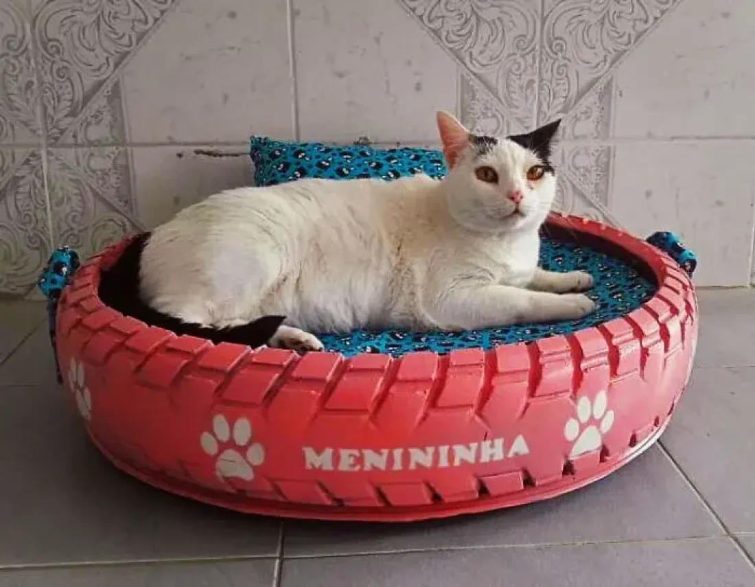 Ilustrasi Tempat Tidur Kucing